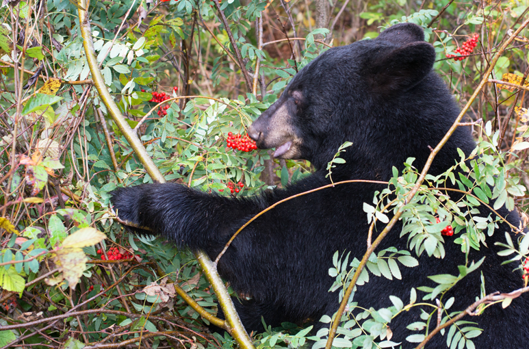 screen-shot-2016-11-27-at-9-38-21-pm